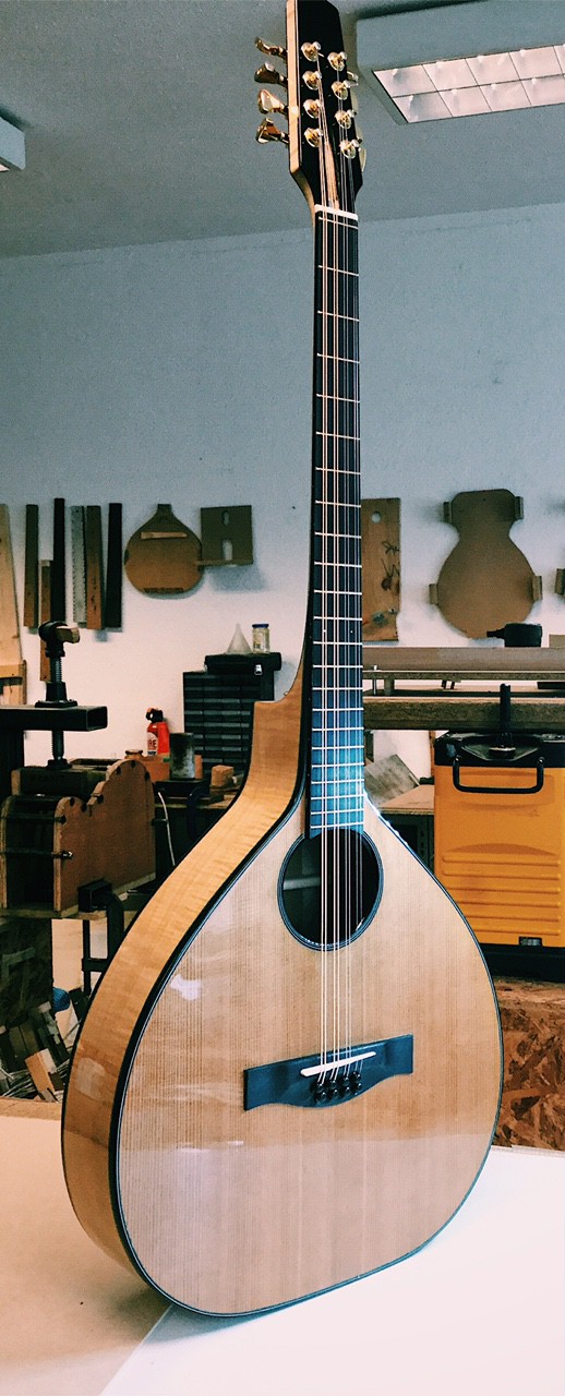 Celtic mandolins, an Irish bouzouki, a guitar bouzouki.... NK Forster