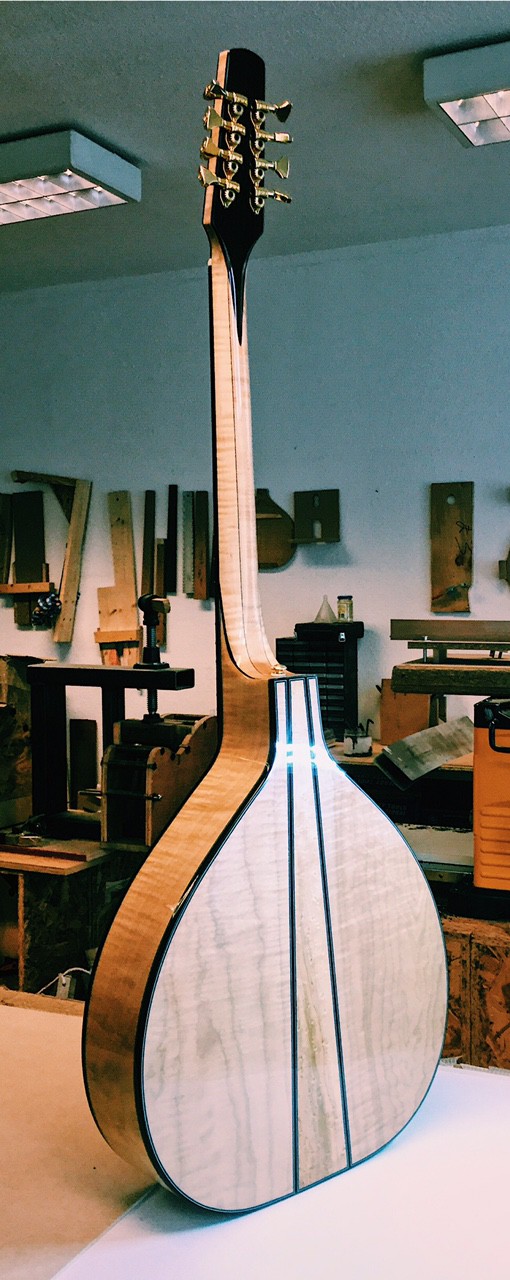 Celtic mandolins, an Irish bouzouki, a guitar bouzouki.... NK Forster